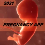 my pregnancy android application logo